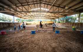 Die Reithalle (20x50 m)